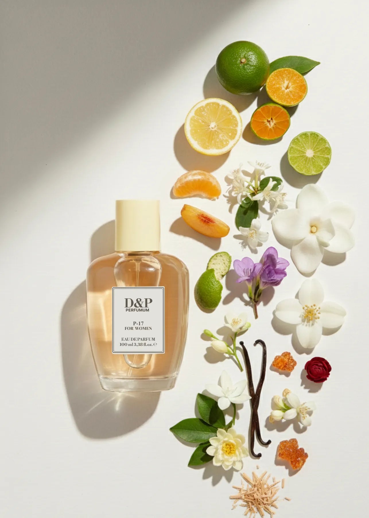 P-17 TIMELESS ENIGMA