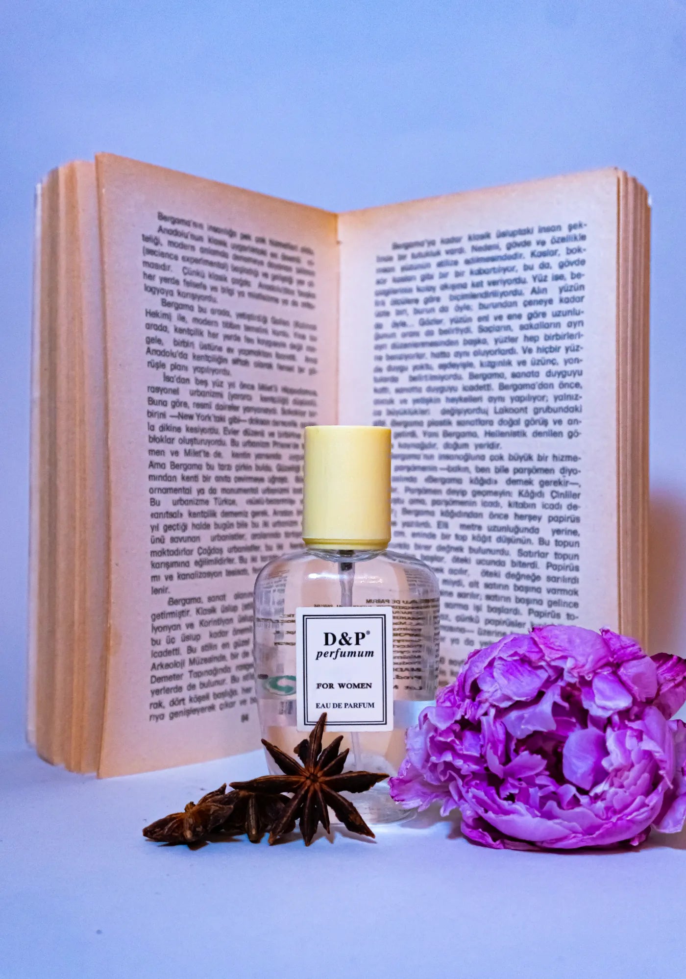 V-4 ABSOLUTELY BELLE