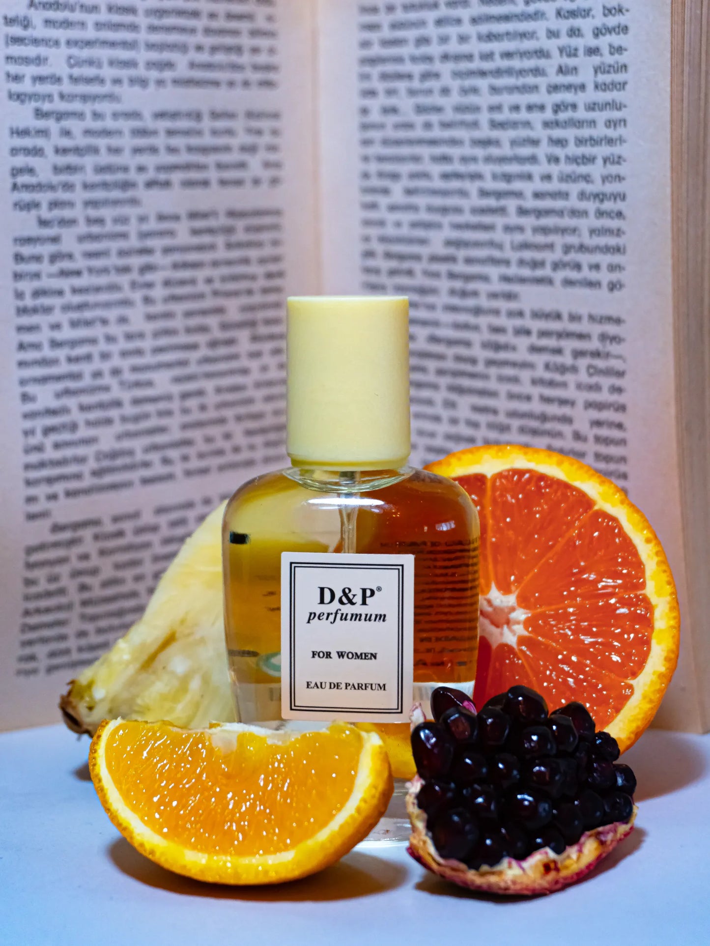 C-31 SECOND PARTISAN