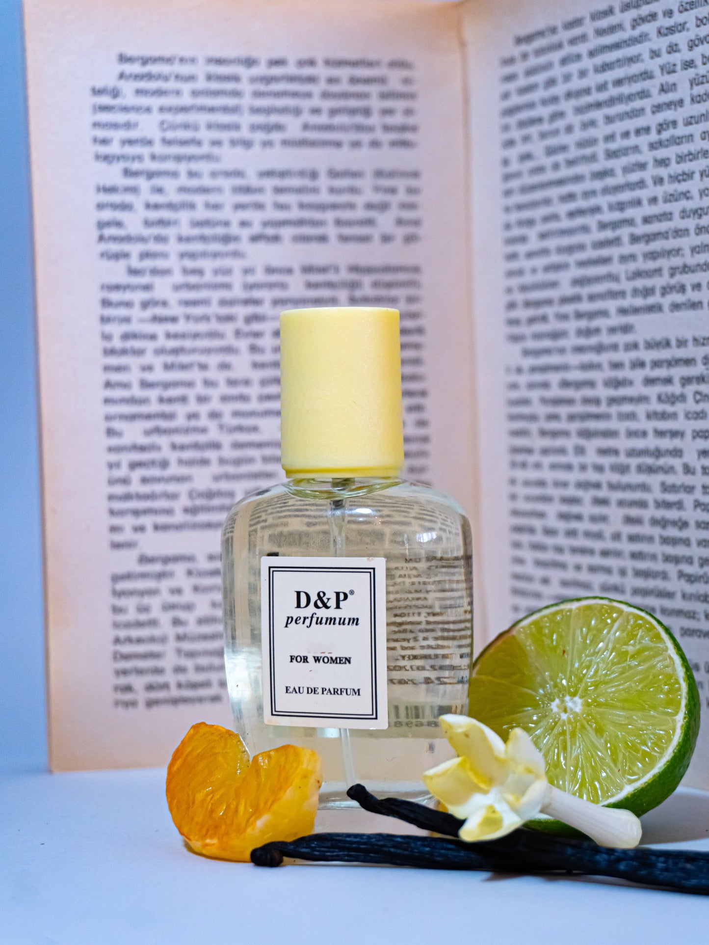 P-17 TIMELESS ENIGMA