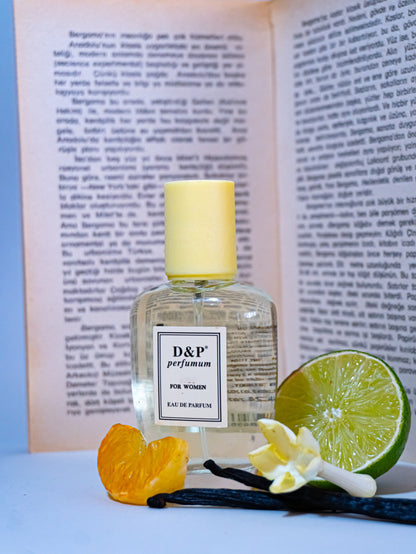 P-17 TIMELESS ENIGMA