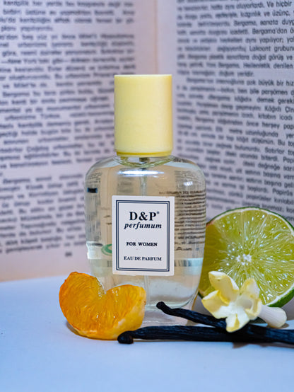 P-17 TIMELESS ENIGMA