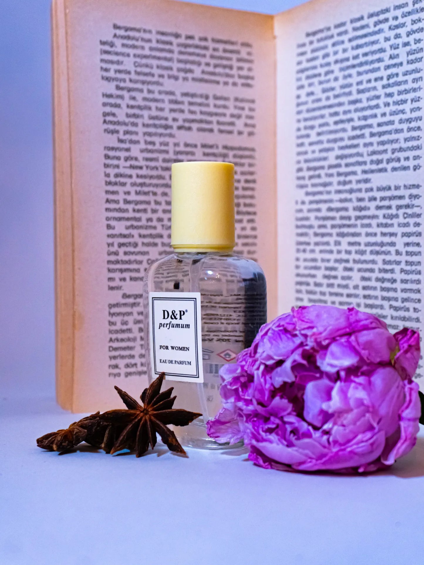 V-4 ABSOLUTELY BELLE