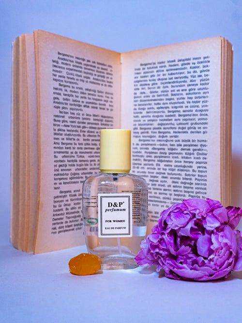 Z-26 GREAT BRILLIANCE