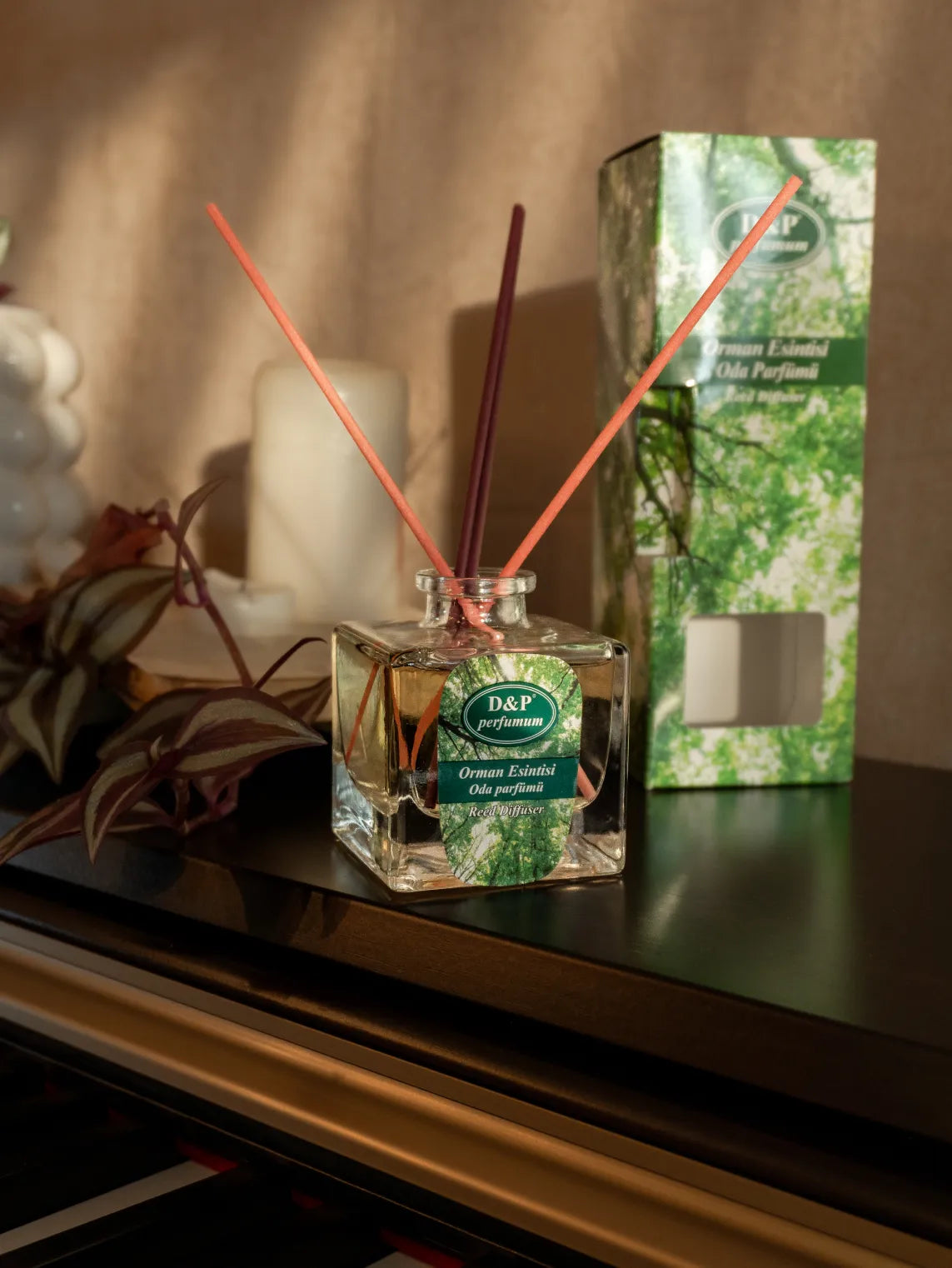 Forest Breeze Bamboo Reed Diffuser